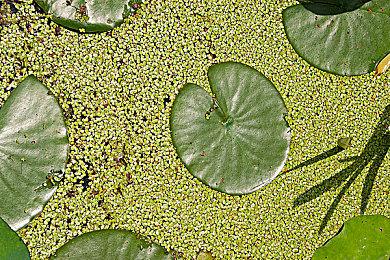 《GTA：三部曲-终极版》即将登陆Steam平台