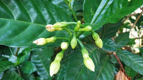 PS+十二月会免游戏泄露 《质量效应：传奇版》等