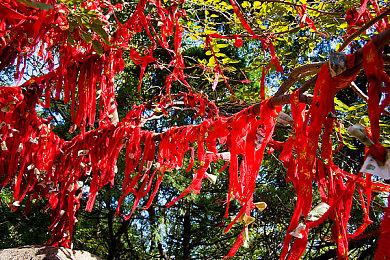 《超级房车赛：传奇》Steam销量不佳 最高仅455人在线